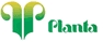 Vai al sito Planta s.s.